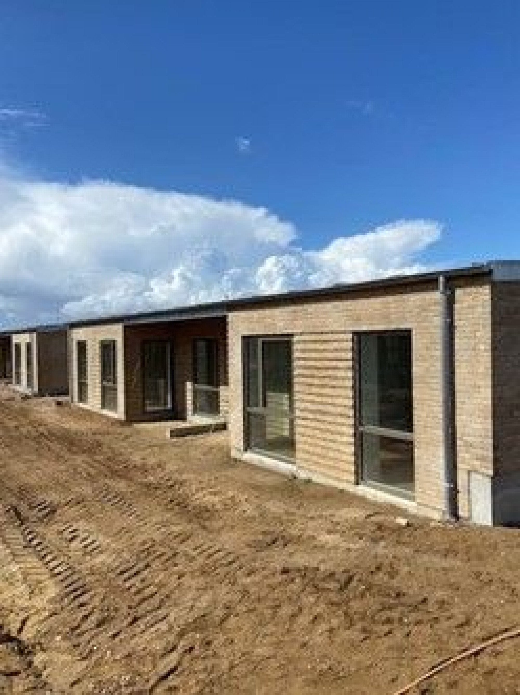 Kvistvænget Hatting